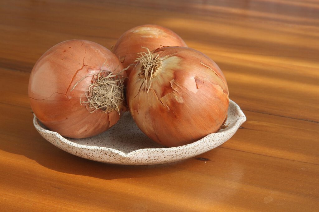 onions, table, onion, organic, vegetable, soup, eating, kitchen, food, brown onion, onions, onions, onion, onion, onion, onion, onion, soup
