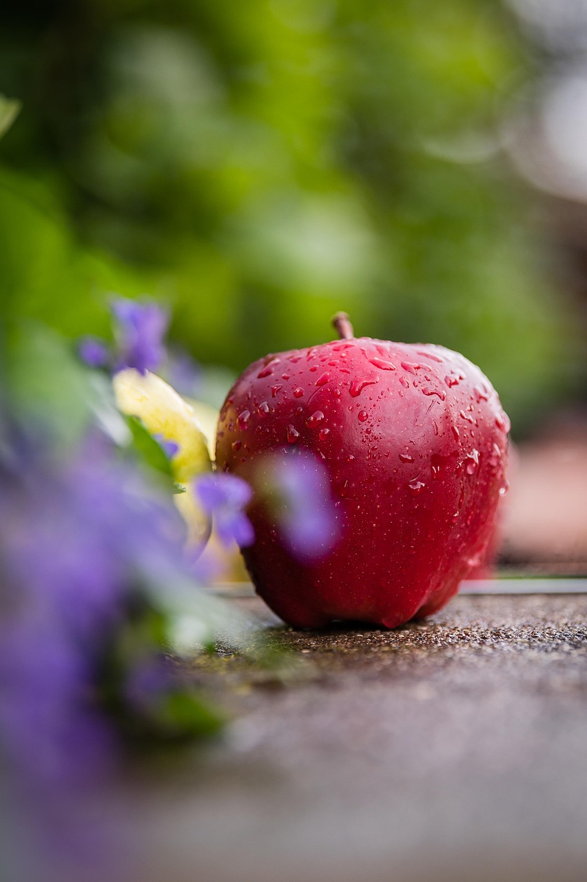 red apple, yellow apple, apple, light reflection, mirror, plant, nature, environment, dew, water, dew drops, red apple, apple, apple, apple, apple, apple